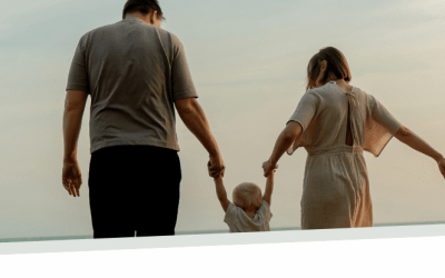 Launch of ‘Introduction to Primary Prevention of Family Violence’ Training